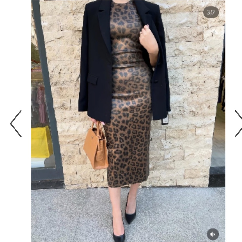 Zara Leopard Print Midi Bodycon Dress in Brown